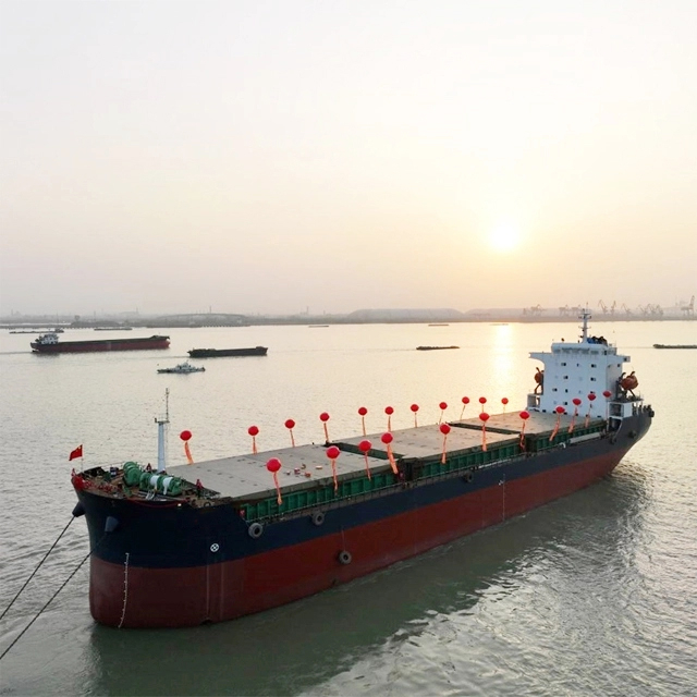 Double Hull Räätälöity irtolastialus nosturilla 