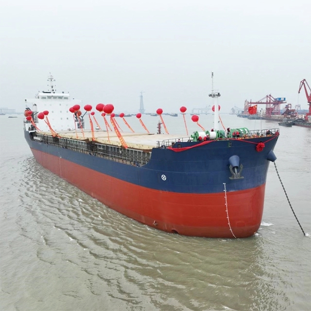 BV Support 5000 Tons Sement Bulk Carrier